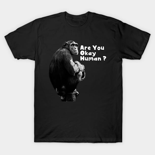 Monkey : Are You okay human T-Shirt by Egit